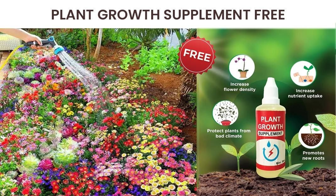 100 Variety Flower Seed Pack + Free Growth Supplement