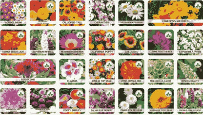 100 Variety Flower Seed Pack + Free Growth Supplement